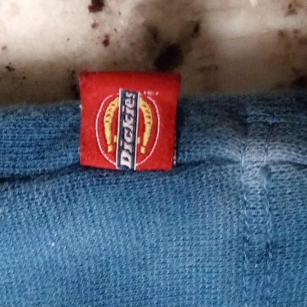 Dickies - Picture 3 of 5